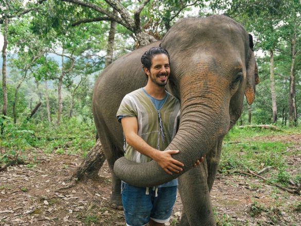 sanctuaire éléphants