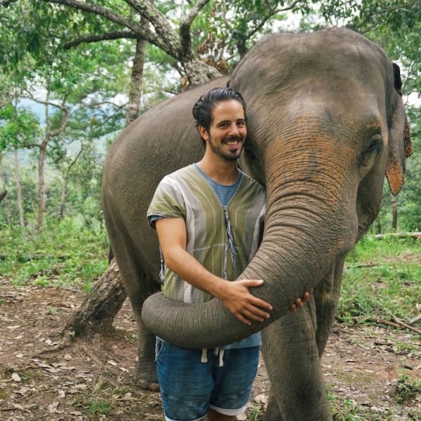 sanctuaire éléphants