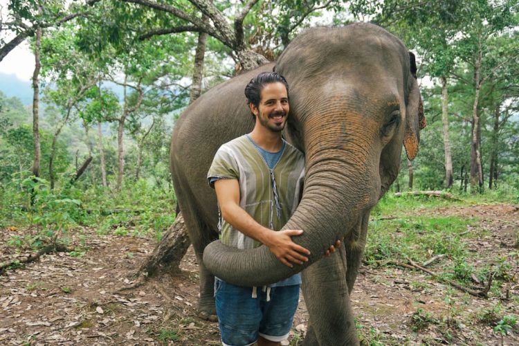 sanctuaire éléphants